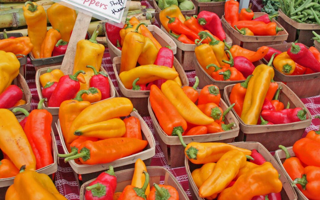 Is it Winter or Summer?