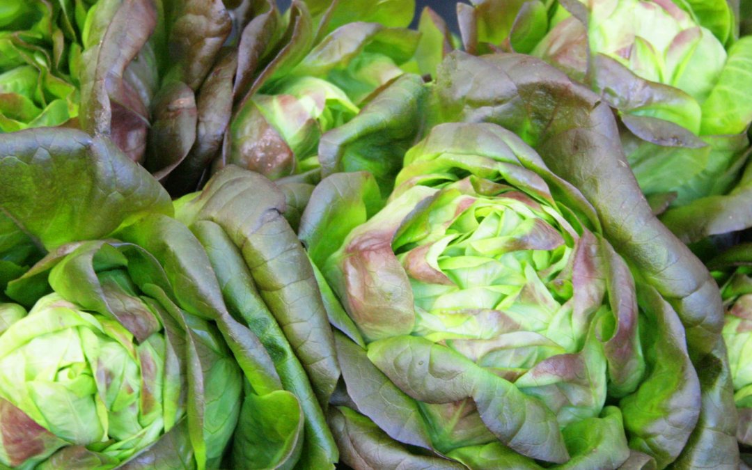 A Beautiful Salad from a Market Inspiration