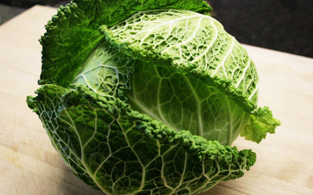 Cabbage…I get on a Kick!