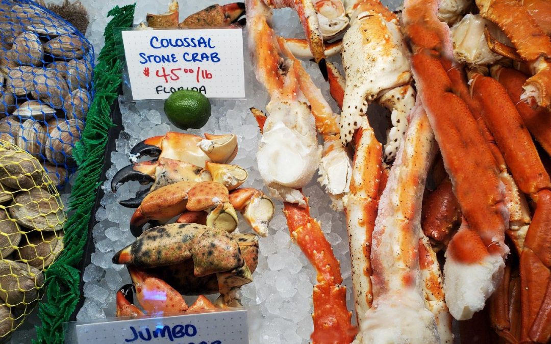 New England and All Things Seafood…