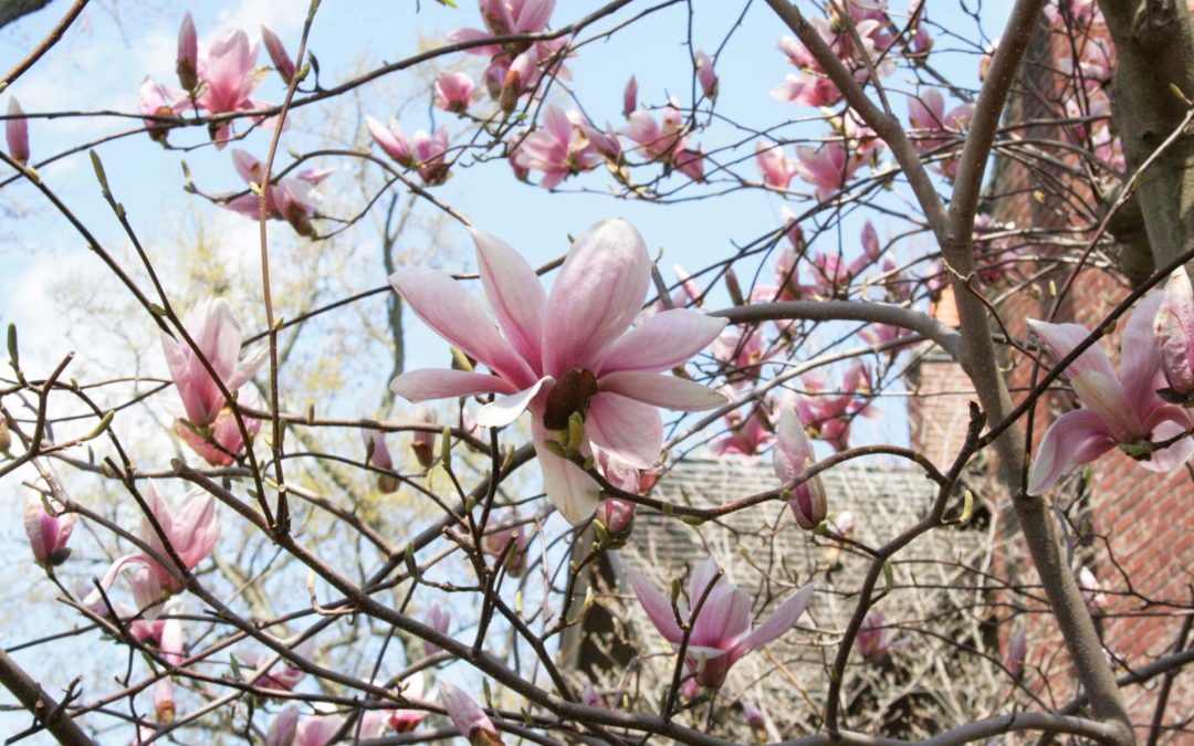 A Truly International Easter Dinner…