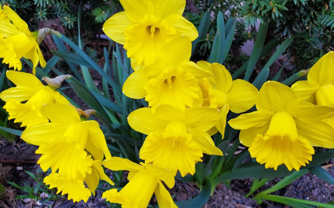 Spring in Ontario….