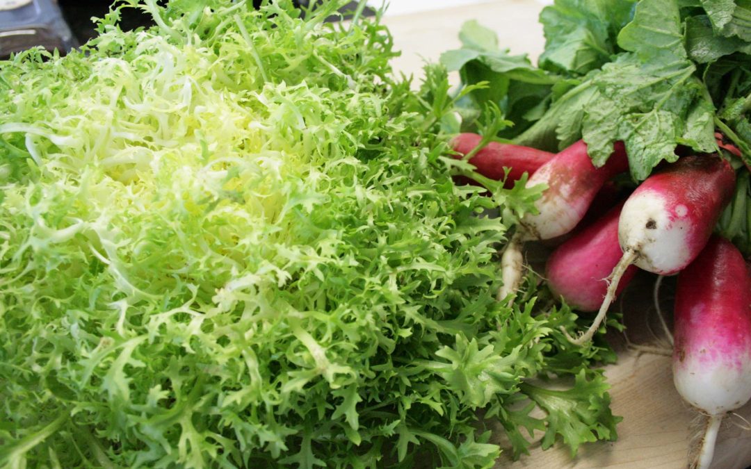 I Found a Source for Frisée!