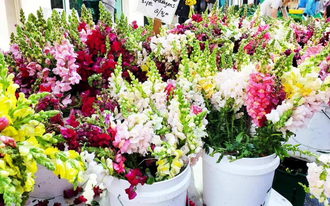 It’s Spring Here…