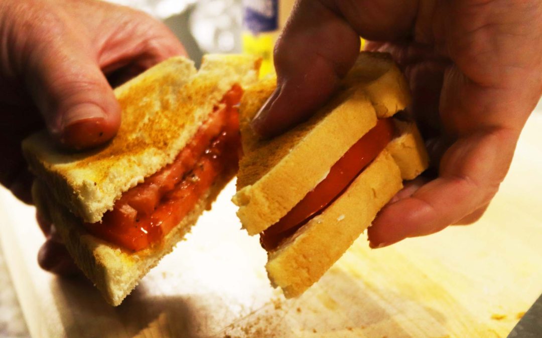 What Happened to Tomatoes this Season?