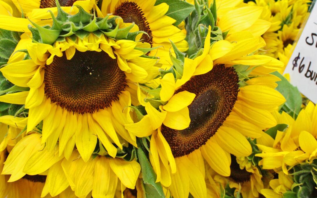 La Dolce Vita…An Italian Inspired Dinner Party with Friends